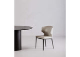 EJ-1018-34 Delaney Dining Chair Beige - Set Of Two