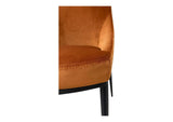 EJ-1034-12 Sedona Dining Chair Amber - Set Of Two