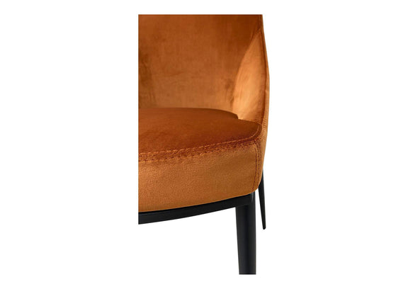 EJ-1034-12 Sedona Dining Chair Amber - Set Of Two