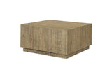 FR-1038-03 Jasper Coffee Table Natural