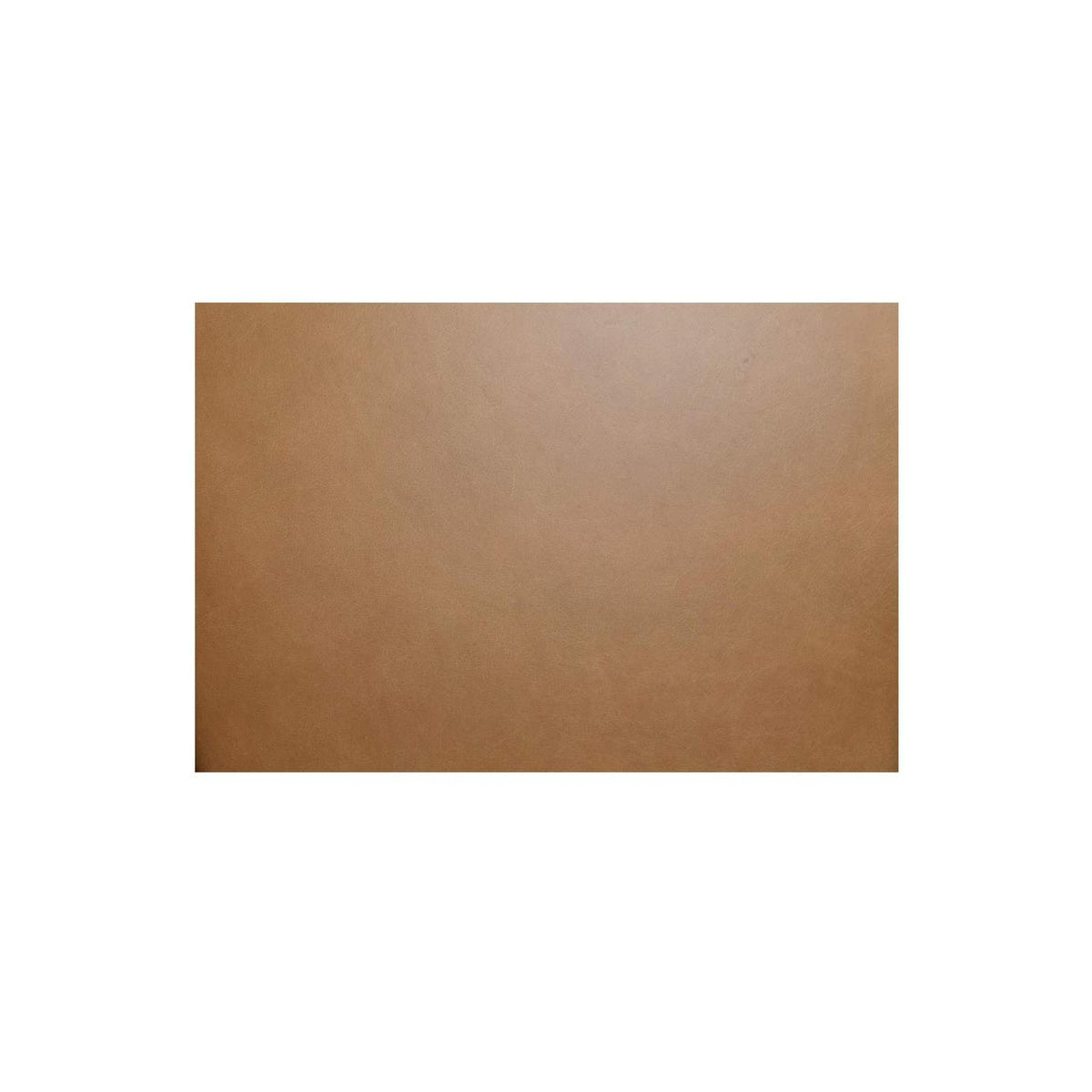 GO-1024-03 Morel Counter Stool Brown Leather