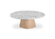 JD-1092-18-0 Evelyn Coffee Table Ashen Grey Matrix
