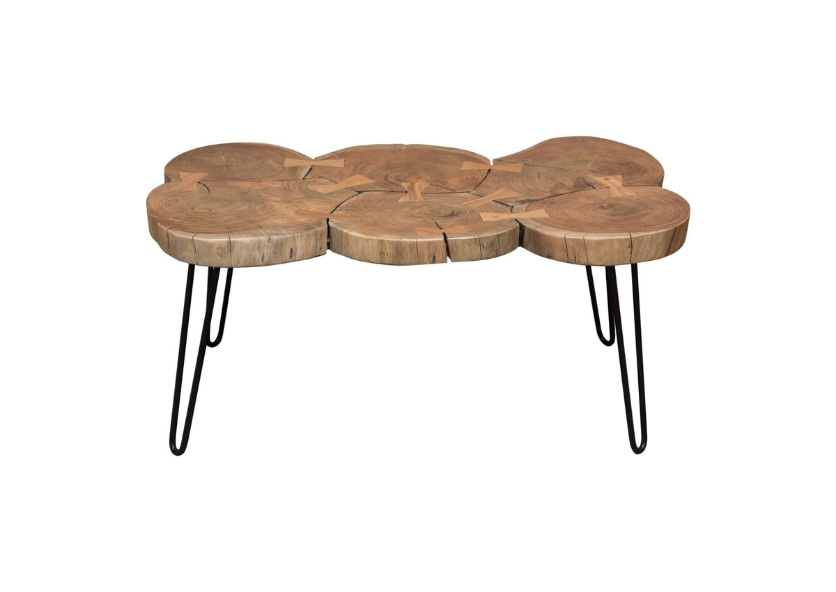 Joss Natural Acacia One of a Kind Live Edge Rectangle Cocktail Table w/ Black Hairpin Legs