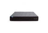 MM10KKNE38GB Neve Coolsync - King