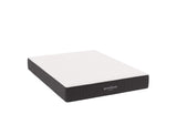 MOD-5338-WHI Aveline 10" Queen Mattress By Modway