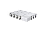 MT-PH12F Vela 12" Full Hybrid Mattress