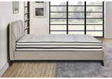 MT-PH12EK Vela 12" Eastern King Hybrid Mattress