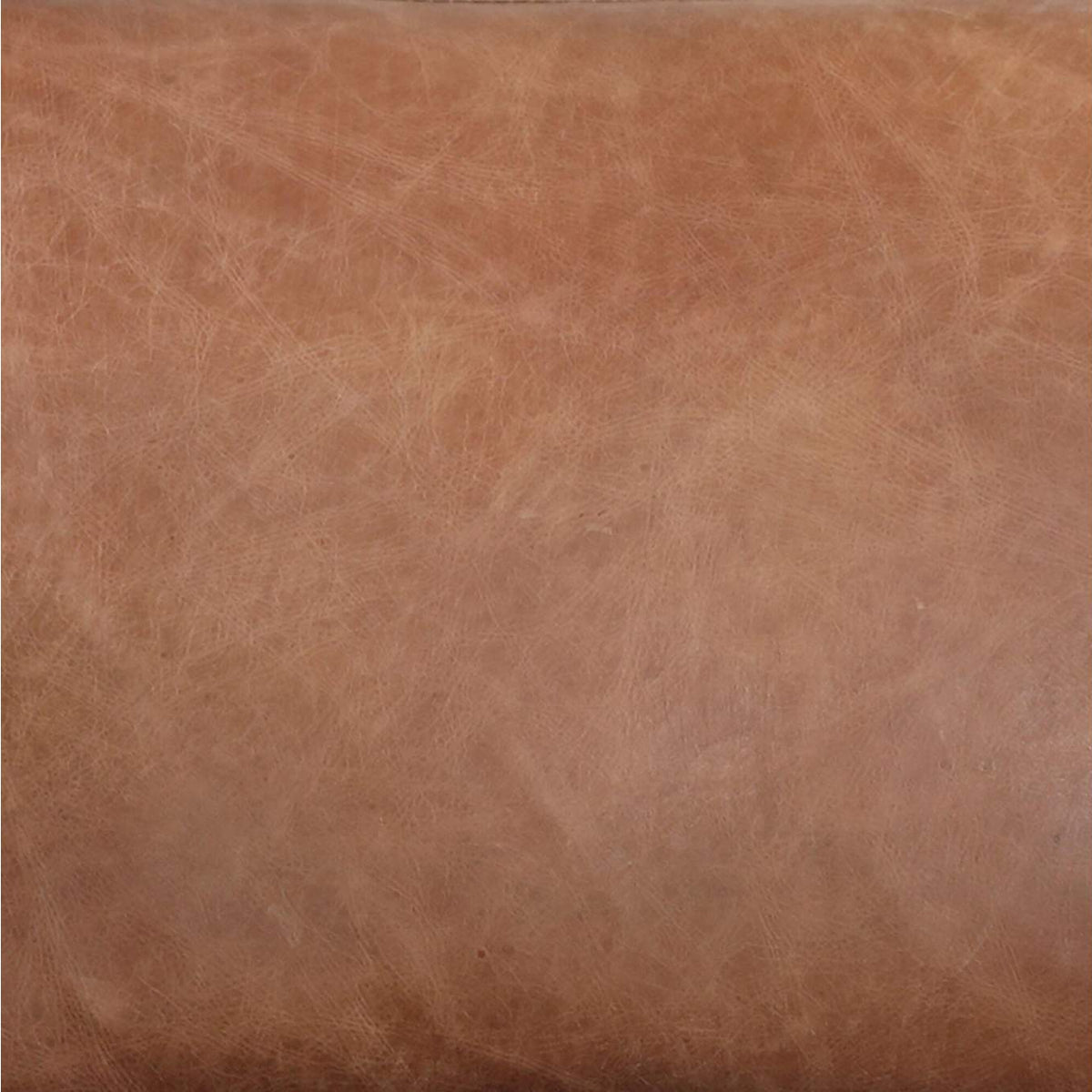 PK-1082-14 Luxley Club Chair Brown