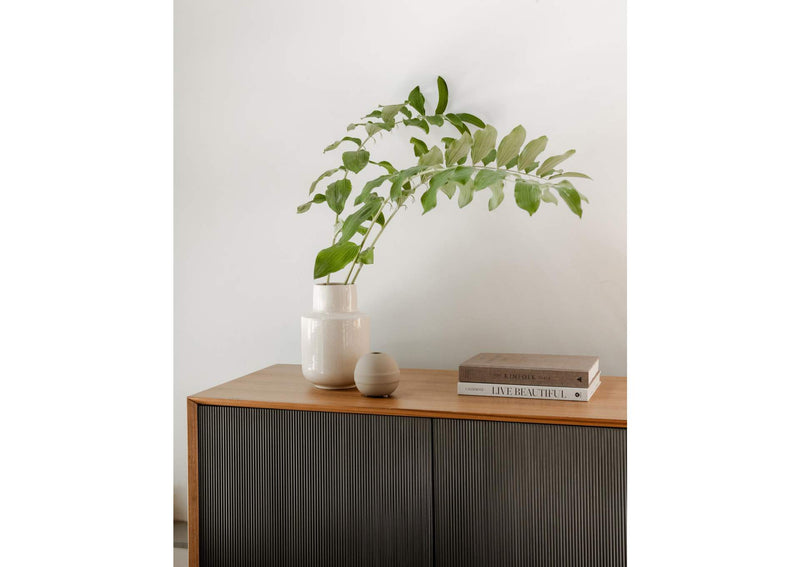 PX-1001-03-0 Araya Sideboard Brown