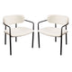 Set of (2) Skyler Dining Chairs