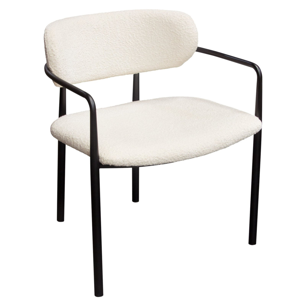 Set of (2) Skyler Dining Chairs