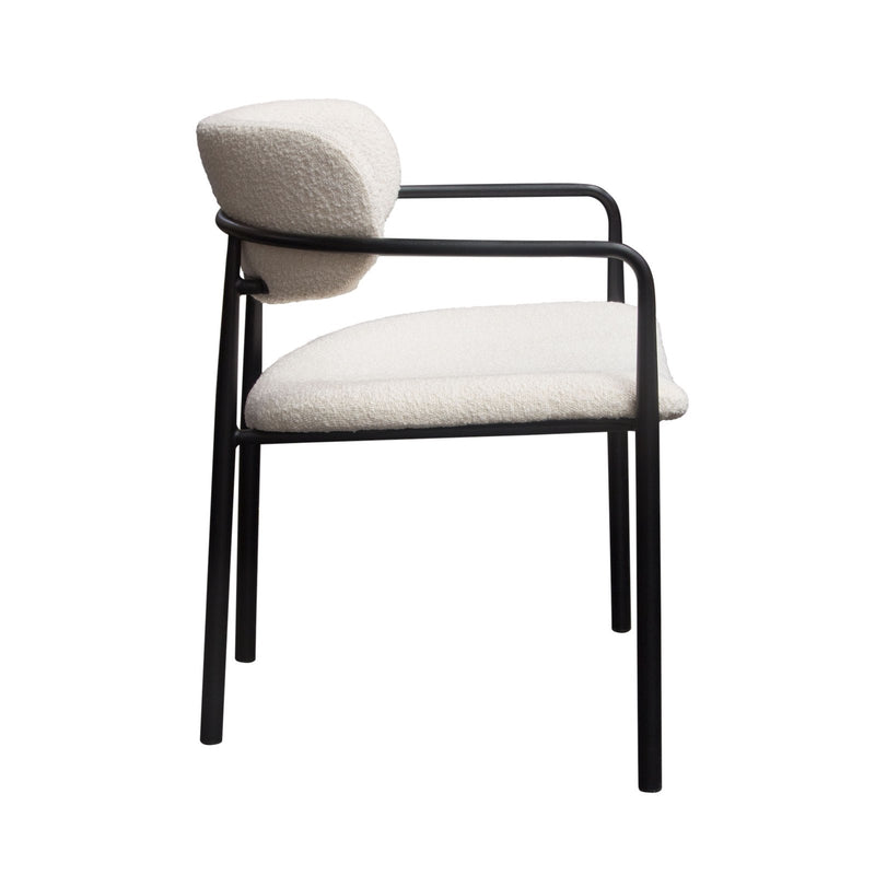 Set of (2) Skyler Dining Chairs