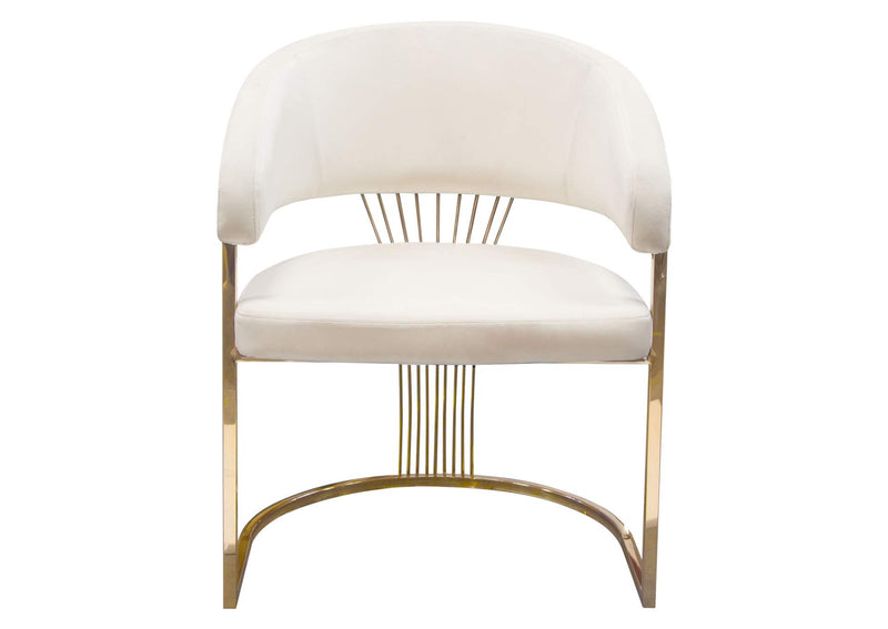 Solstice Dining Chair in Cream Velvet w/ Polished Gold Metal Frame by Diamond Sofa