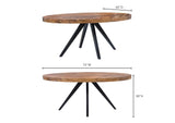 TL-1019-14 Parq Oval Dining Table Amber