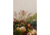 UO-1006-24 Pata Decorative Vessel