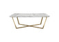 Vida Rectangle Cocktail Table w/ Faux Marble Top and Brushed Gold Metal Frame by Diamond Sofa