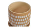 VZ-1029-24 Botanical Planter
