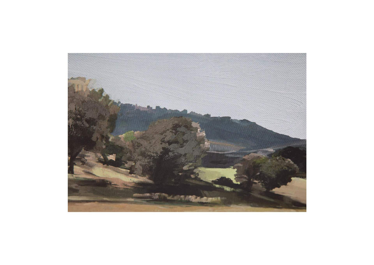 WP-1265-37 Vast Country Framed Painting