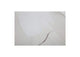 WP-1274-37 Impression Framed Painting Terra Palette