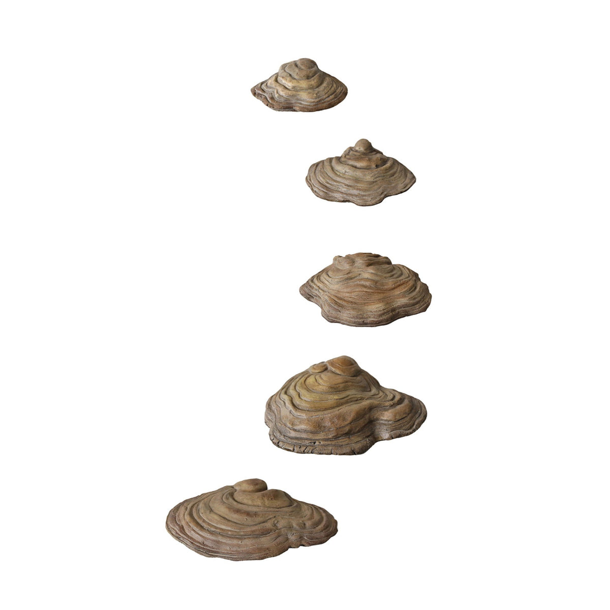 5" / 6" / 7" / 8" / 9" Fungi Mushroom Wall Decor (Set of 5) - Natural