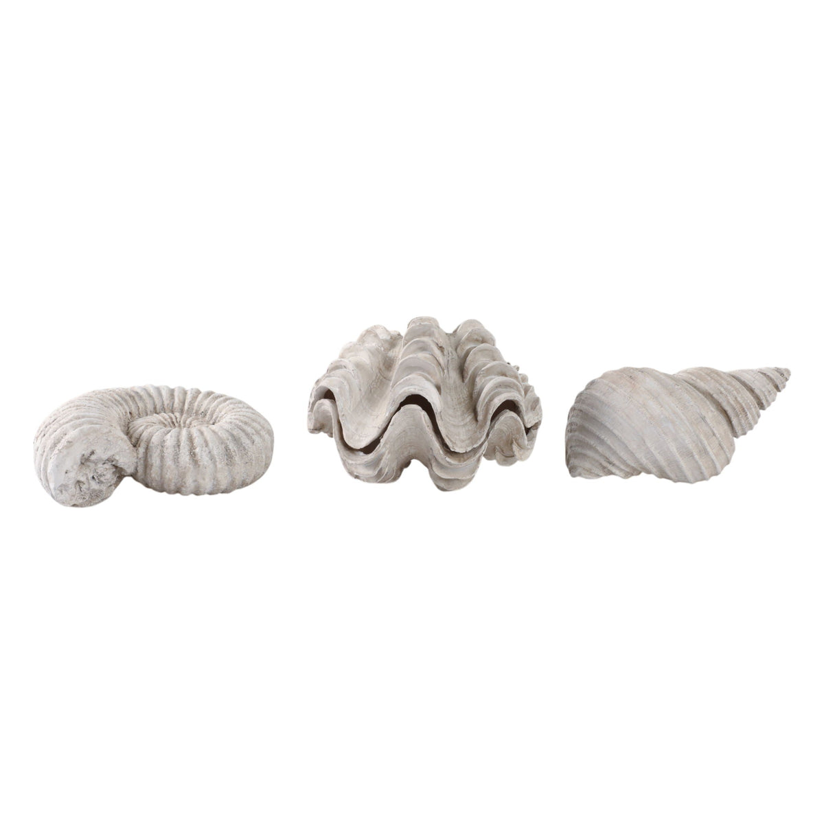6" Kaycee Resin Shells (Set of 3) - Ivory