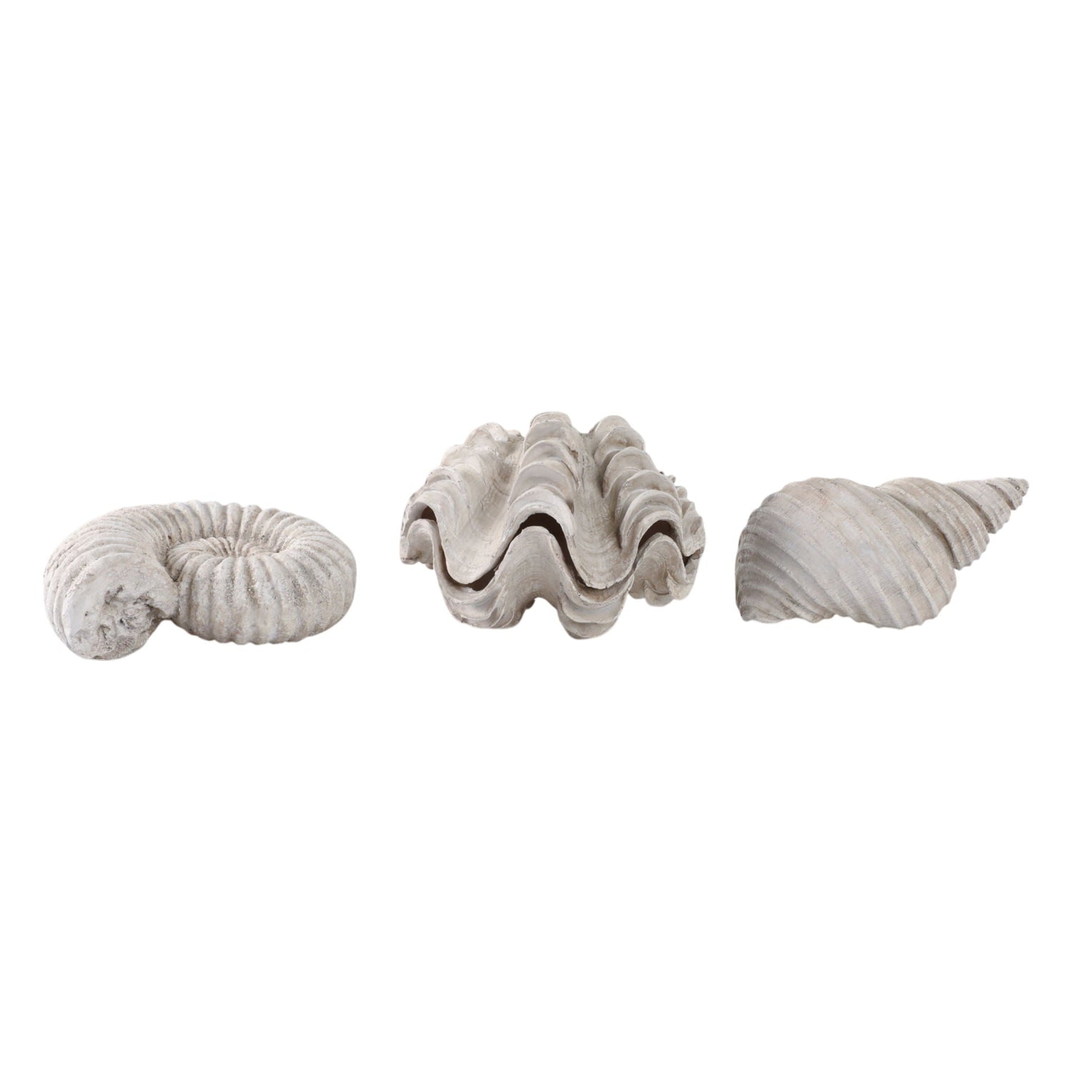 6" Kaycee Resin Shells (Set of 3) - Ivory