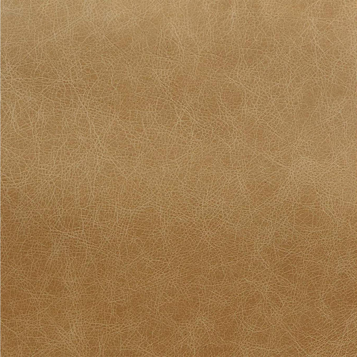 AC02583 Pippin Accent Chair