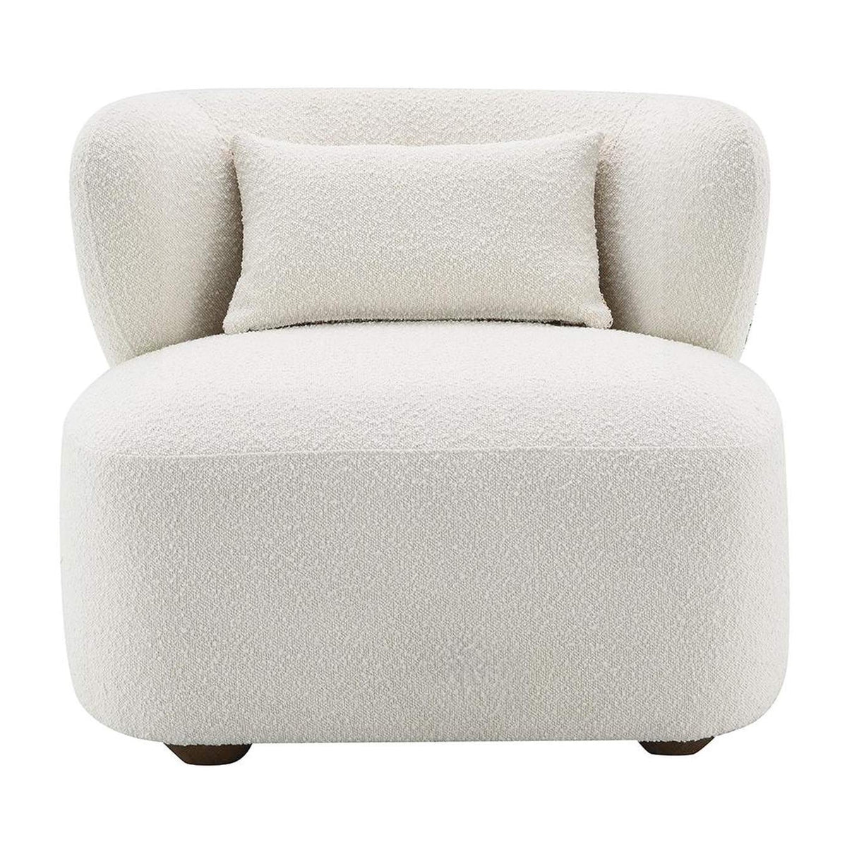 AC02589 Darius Accent Chair with Pillow