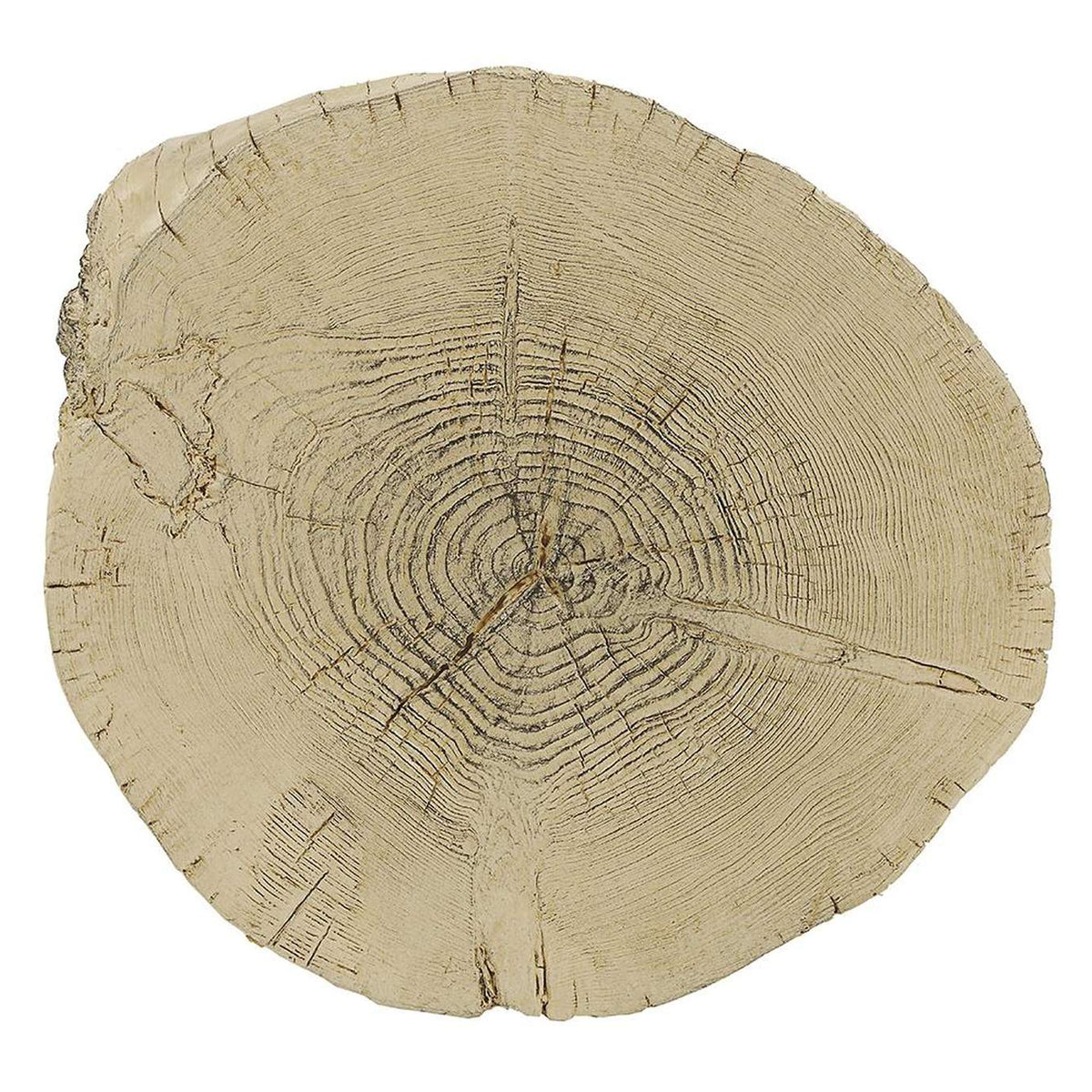 AC03783 Gene Accent Table