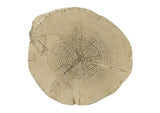 AC03783 Gene Accent Table
