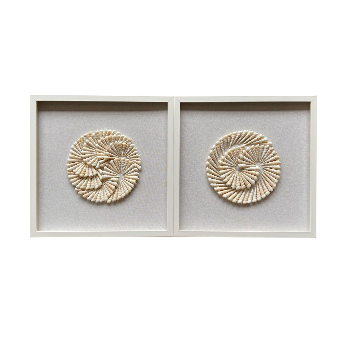 Atlantic Shell Shadowbox Art (Set of 2) - Ivory