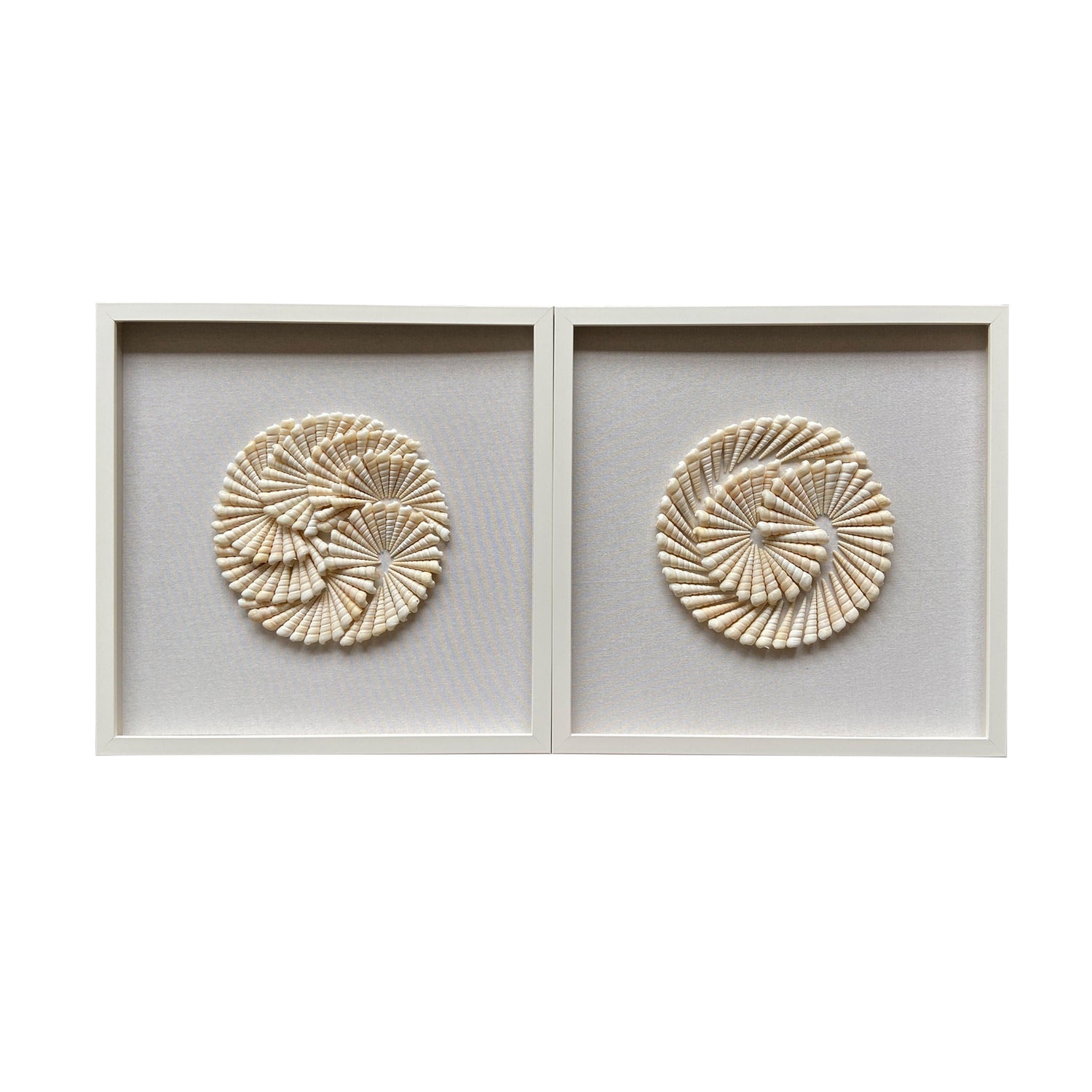 Atlantic Shell Shadowbox Art (Set of 2) - Ivory
