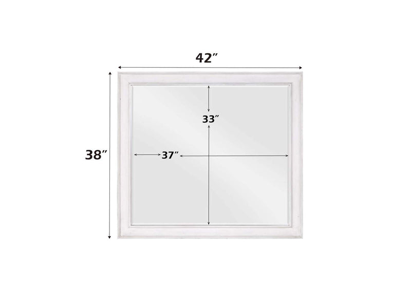 BD00662 Katia Mirror