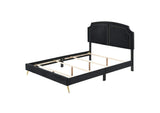 BD01271EK Zeena Ek Bed