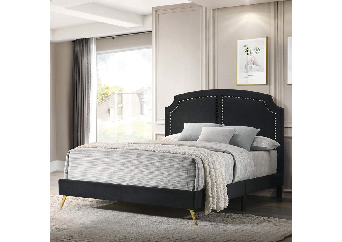BD01271EK Zeena Ek Bed
