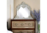 BD01489 Sandoval Mirror