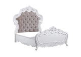 BD02254Q Latisha Queen Bed