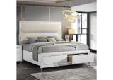 BD02317Q Tarian Queen Bed with Led and Storage