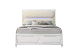 BD02317Q Tarian Queen Bed with Led and Storage
