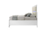 BD02317Q Tarian Queen Bed with Led and Storage