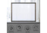 BD02724 Jehoram Mirror