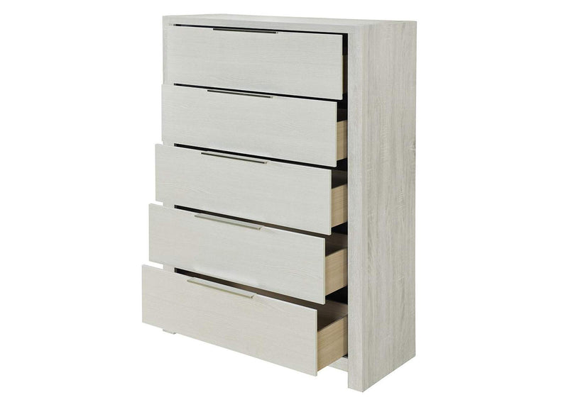 BD04356 Jehoram Chest