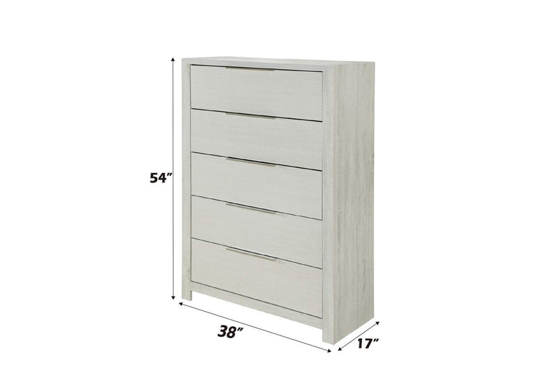 BD04356 Jehoram Chest