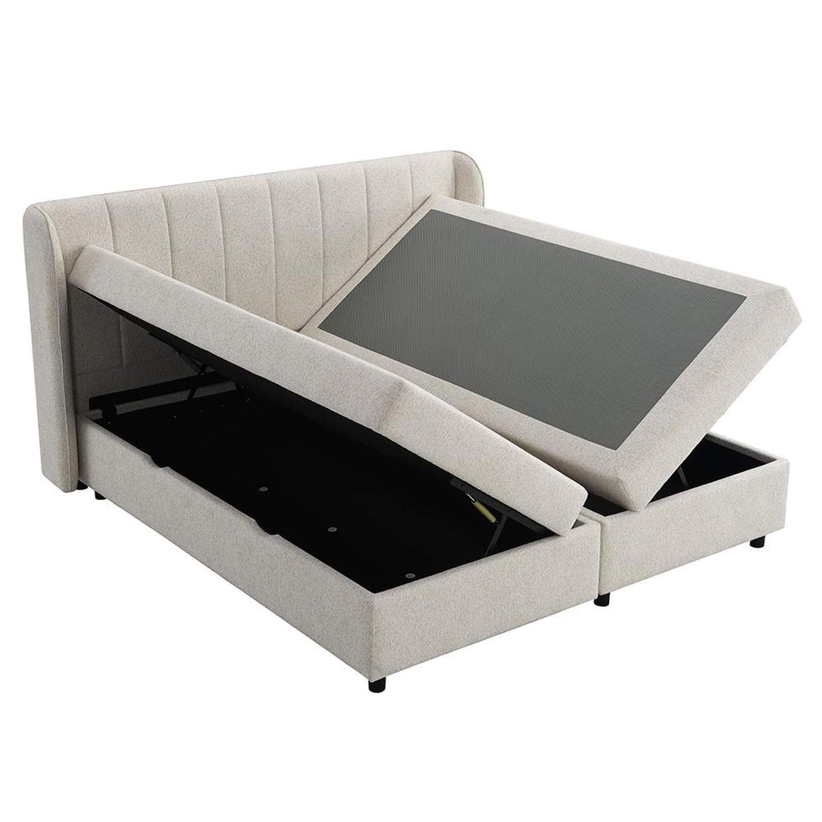 BD06012Q Adonia Queen Bed with Storage