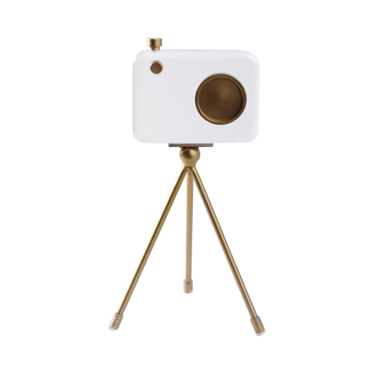 Bradford Acrylic And Brass Camera Decor - Gold / White