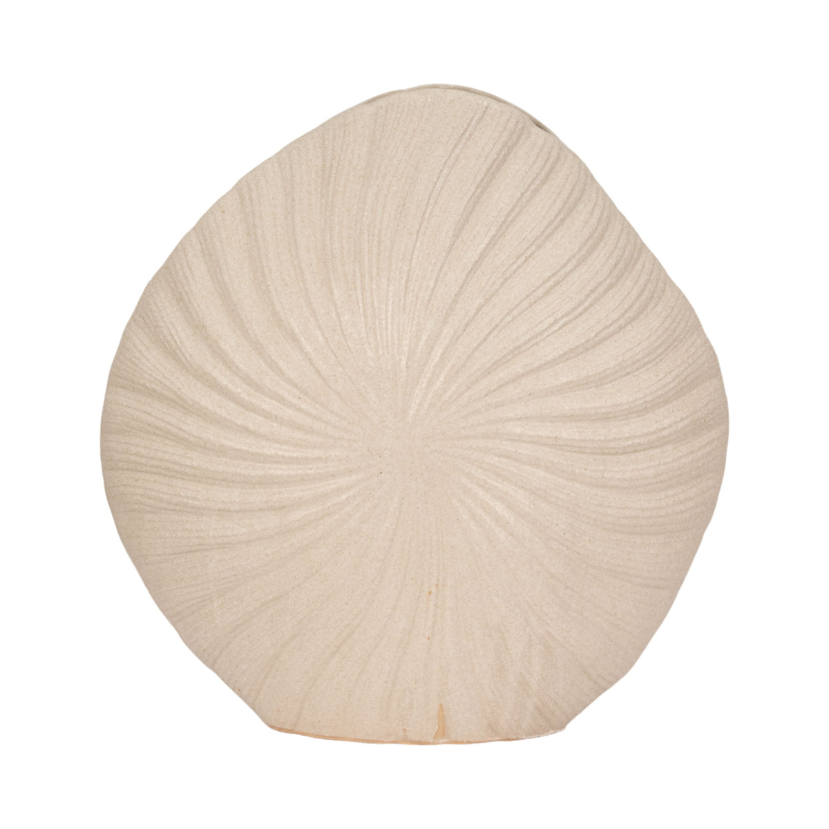 23" White Sand Shell Vase - White