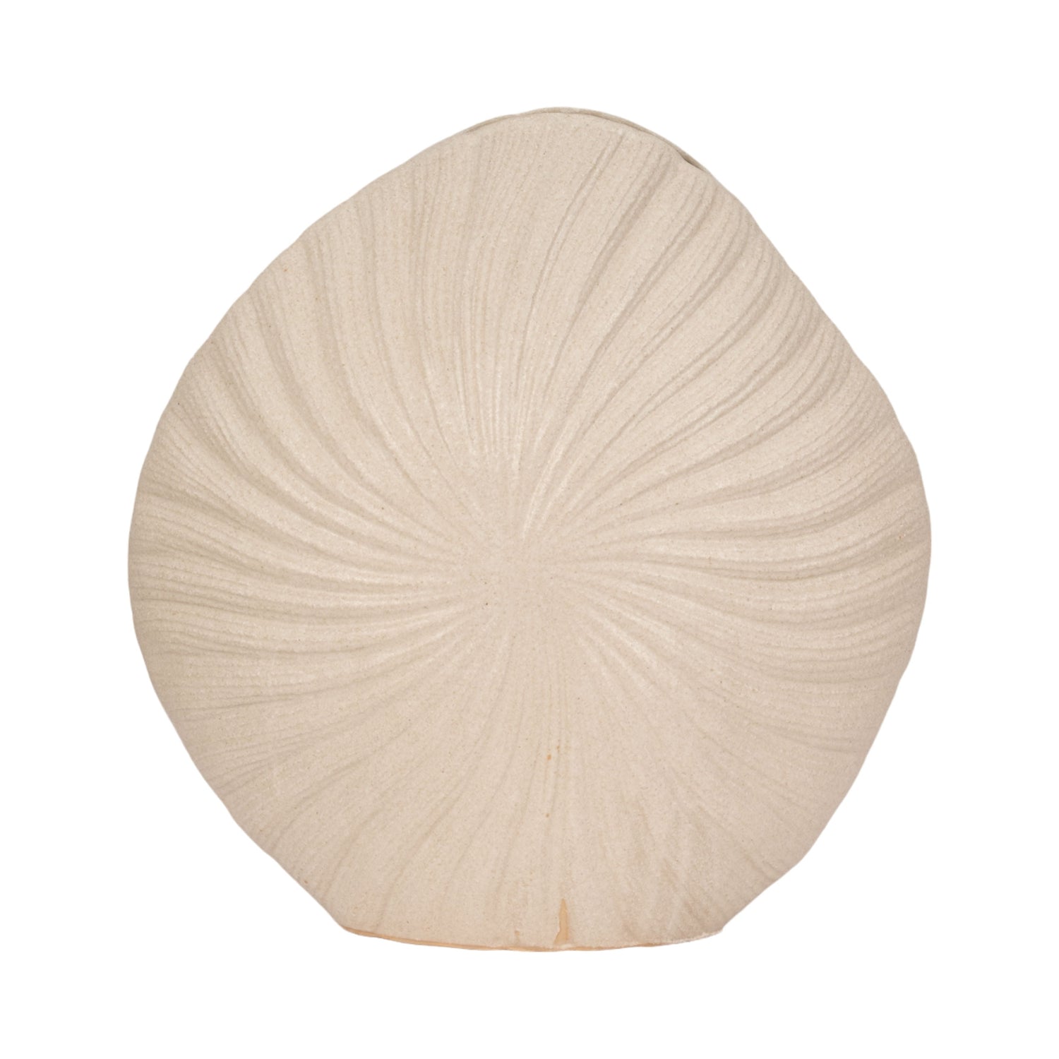 23" White Sand Shell Vase - White