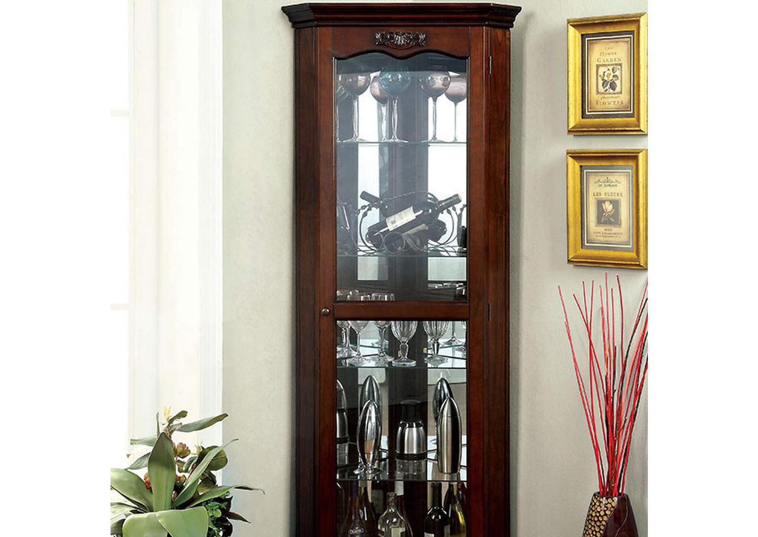 Ortley Curio