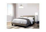 CM7078GY-CK-BED-VN Sims Cal.King Bed
