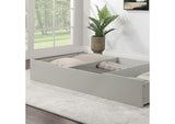 Lycorida Trundle/Drawer